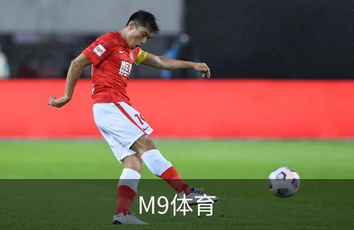 M9体育概况